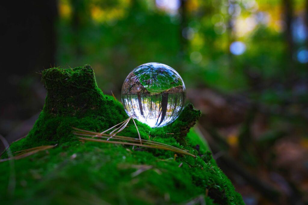 Eine Glaskugel auf einem moosbewachsenen Baumstumpf in einem Wald, die die Bäume kopfüber spiegelt