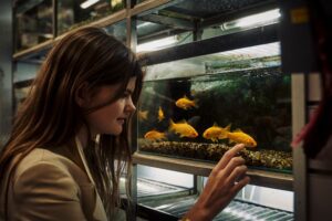 A woman looks at and points toward goldfish swimming in an aquarium