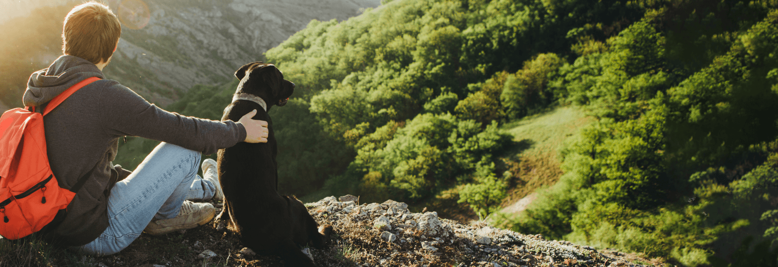 A person and adog sitting together on a cliff, looking out over a forested valley