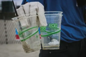 A person wearing a white glove holds two empty, transparent plastic cups.
