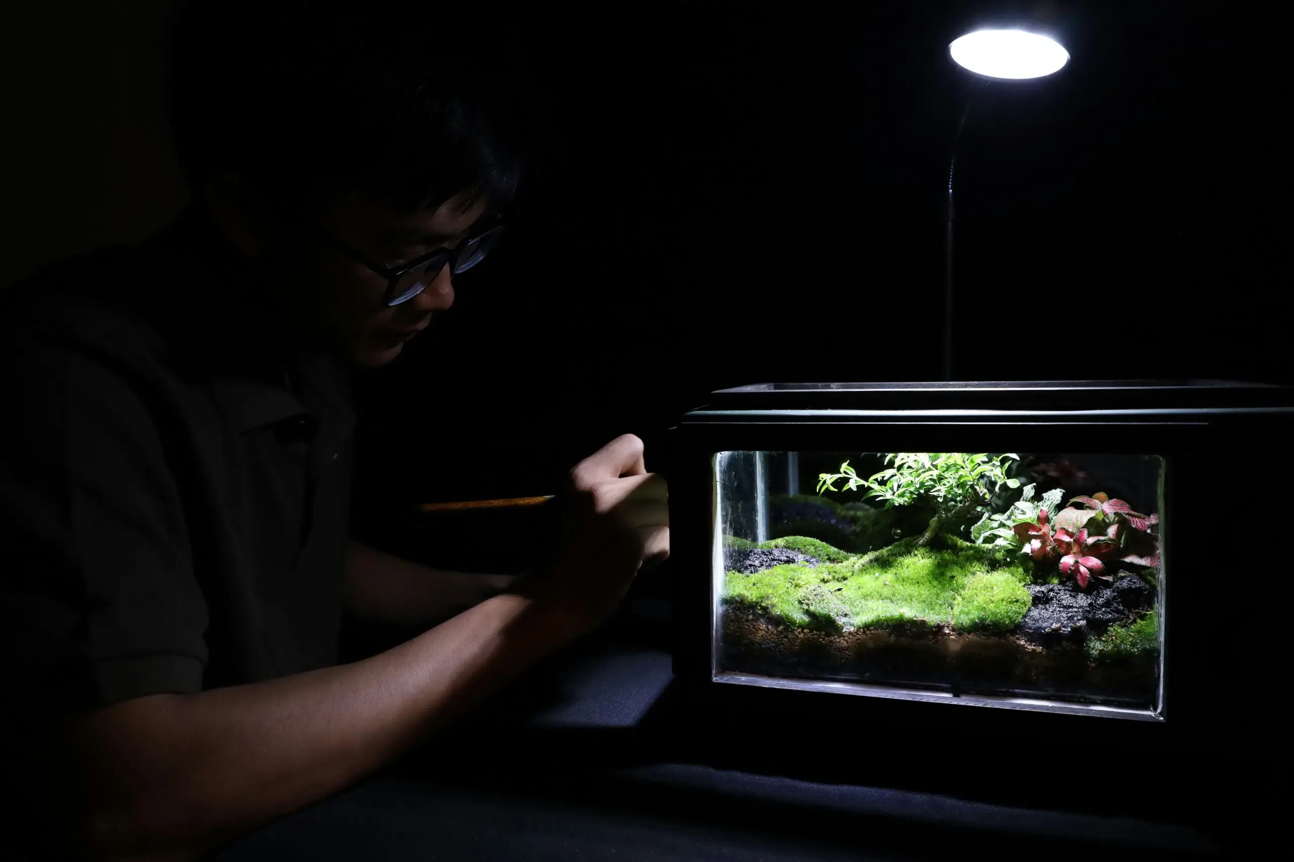 Ein Mensch pflegt ein beleuchtetes Terrarium in einem dunklen Raum.